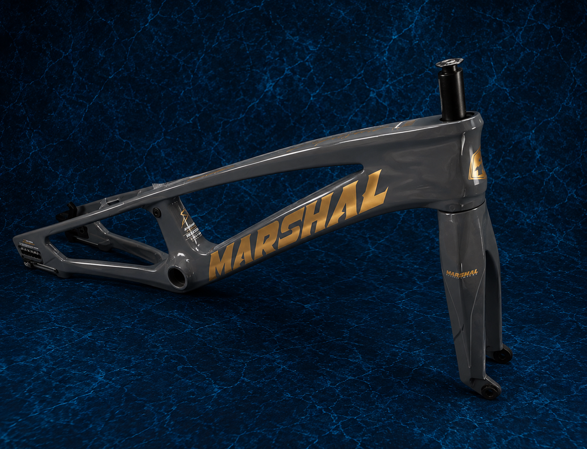 Frame & Fork carbon “SR71-BLACKBIRD” | (PRO 4XL)