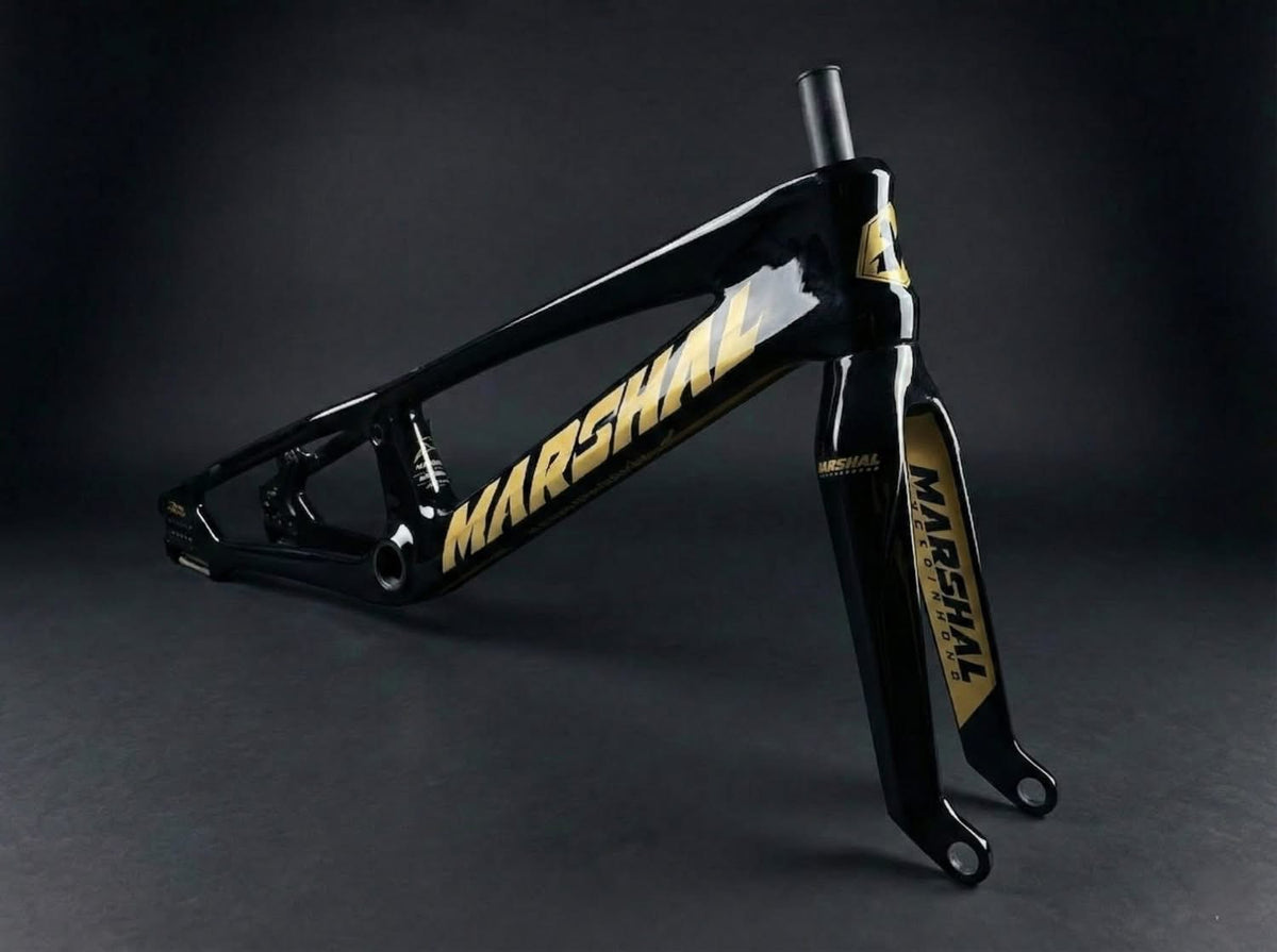 Frame & Fork Carbon “SR71-BLACKBIRD” | Black & Gold (PRO XL)